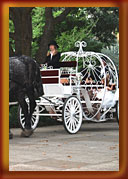 wedding packages