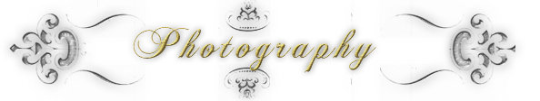 Wedding Package